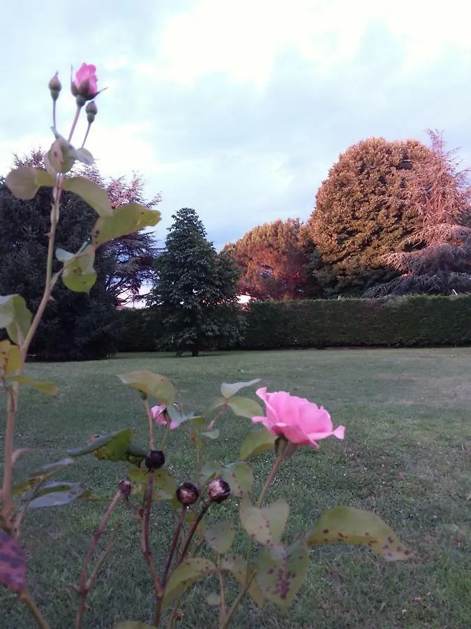 Guest house “Al Campo” Hotel Verona